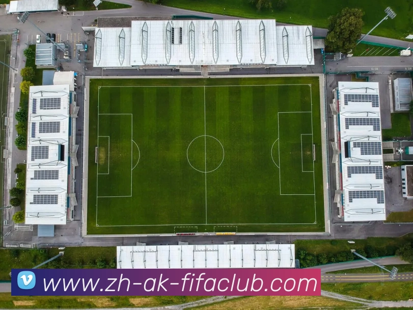 世界杯买球服务体系