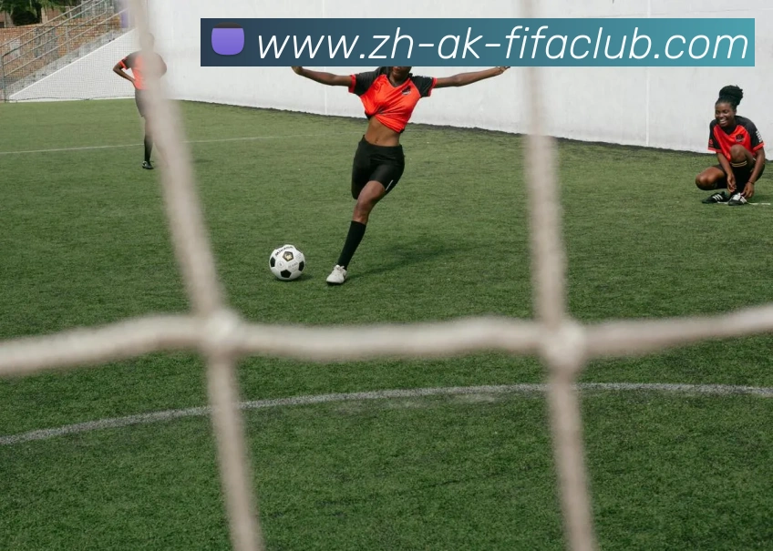 多媒体互动体验