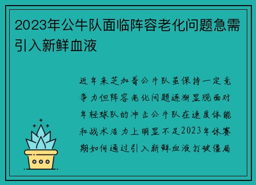 2023年公牛队面临阵容老化问题急需引入新鲜血液
